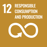 Sustainable Development Goal: Responsible Consumption